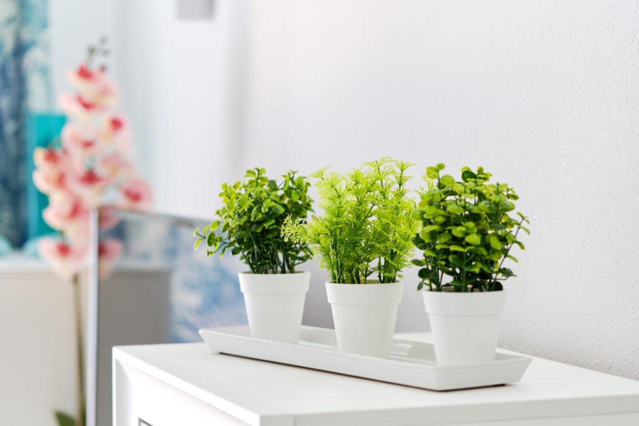 Apartment Eunice Орихуела Екстериор снимка